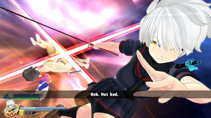 Senran Kagura Estival Versus