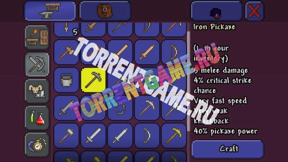 Terraria v.1.04