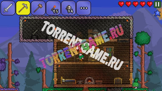 Terraria v.1.04