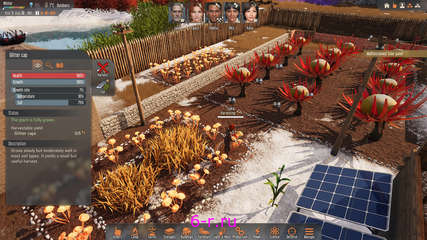 Изображение 3