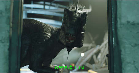 Изображение 5